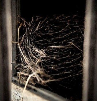 23ef68989a0d95a7a049b1697921901e