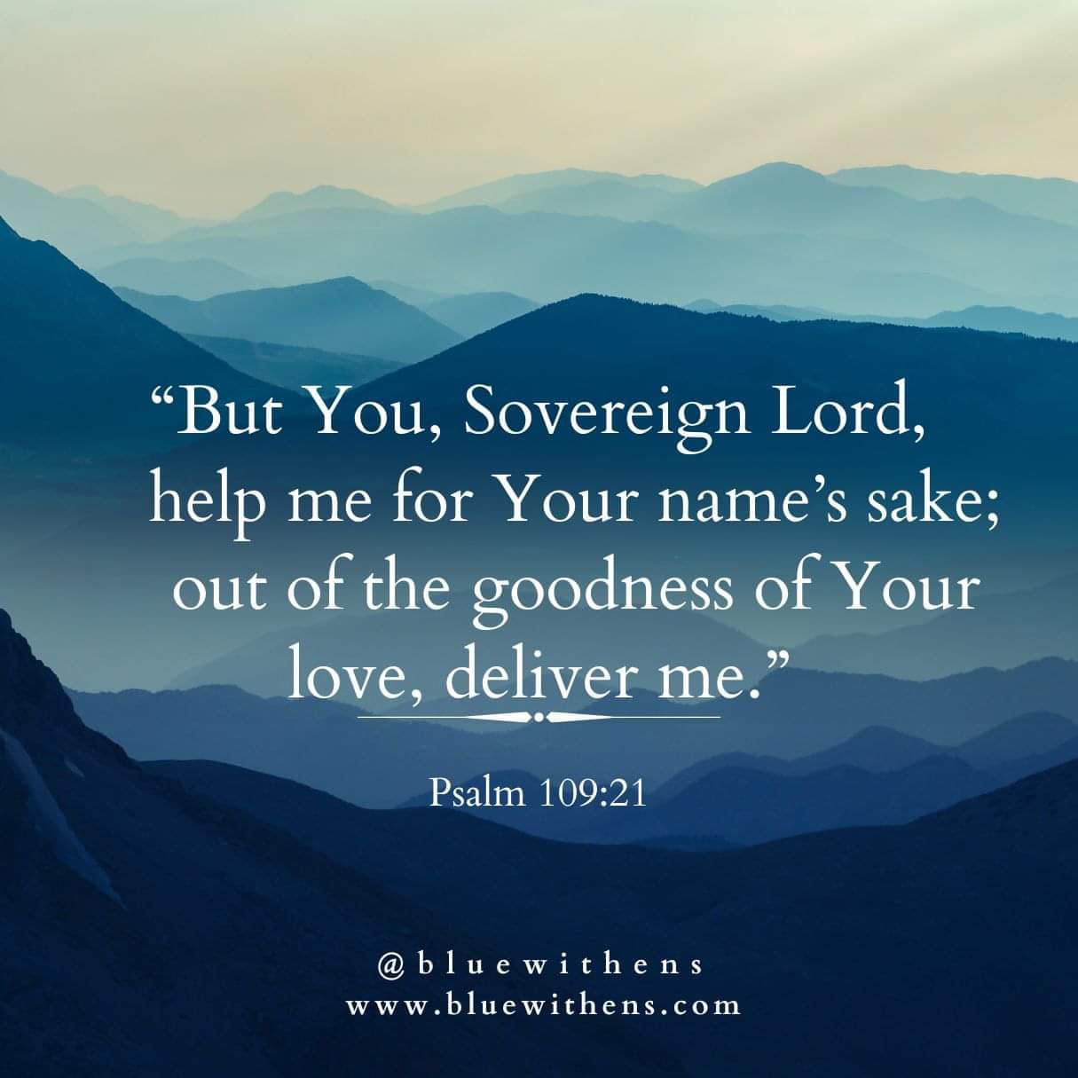 329892738_1249435598977916_2624151829862974483_n